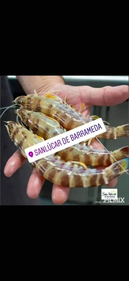 Piso De Dos Dormitorios En El Centro De Sanlúcar de Barrameda 0*,  Spanien